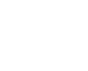 b-carrerfoundry